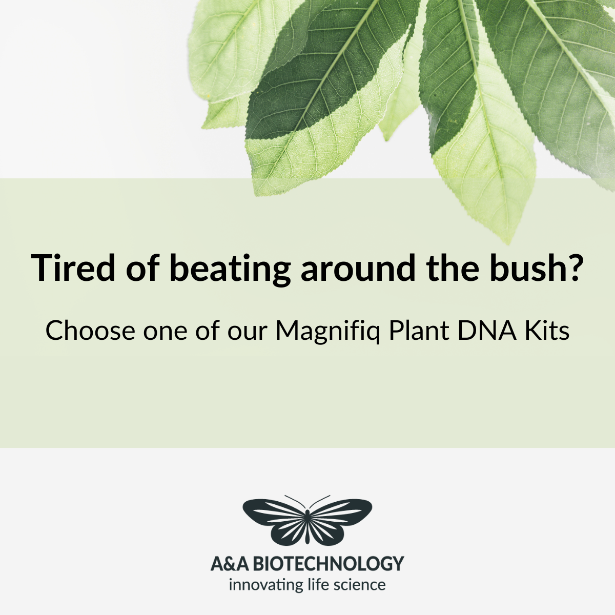  MagnifiQ Plant DNA